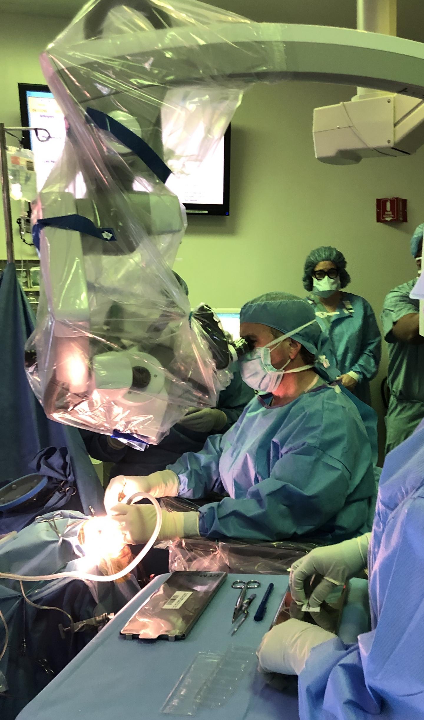 Julian Bailes, MD, Is Shown during the First GammaTile Surgery in Illinois
