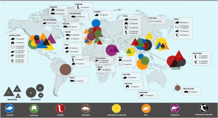 Top import and export countries