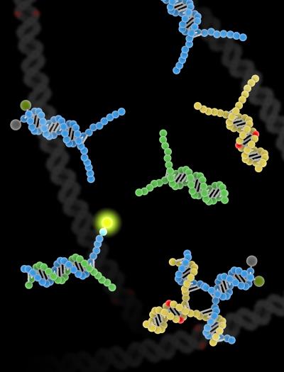 Conceptual Image (1 of 2)