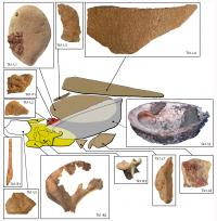 Artifacts Making up Toolkit 1 at Blombos Cave and Their Relative Spatial Locations