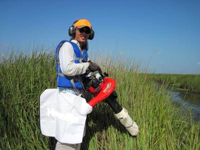 UH Scientists Publish Breakthrough Research on Why Colder Climates Lead to Larger Animals