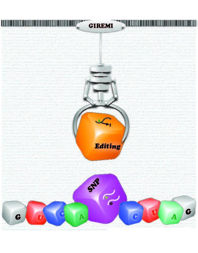 Illustration of GIREMI