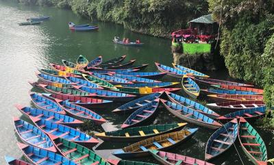 Zika and Dengue Overlap in Many Regions of the World