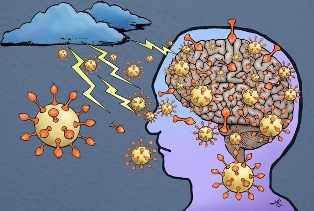 Spike protein of COVID-19 virus enters the brain