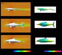 Computational Simulation of Flow Over the 3D Models of 2 Ichthyosaurs and a Bottlenose Dolphin