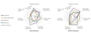 Comparison of risk implications and resilience pathways in resilience-related policy documents across the five cities