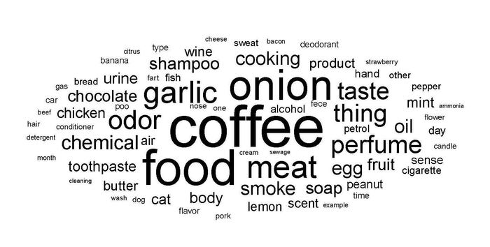 Parosmia Word Cloud