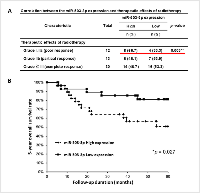 Relationship between the expression level of microRNAs (miR-503-3p) in blood and radiotherapy effect and patient prognosis