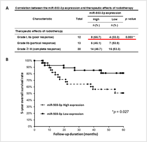 Relationship between the expression level of microRNAs (miR-503-3p) in blood and radiotherapy effect and patient prognosis
