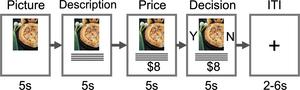 Neuroimaging task: Trial structure.