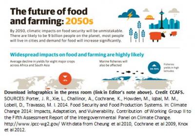 The Future of Food and Farming: 2050s