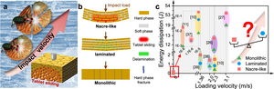 Anomalous inapplicability of nacre-like architectures as impact-resistant templates in a wide range of impact velocities