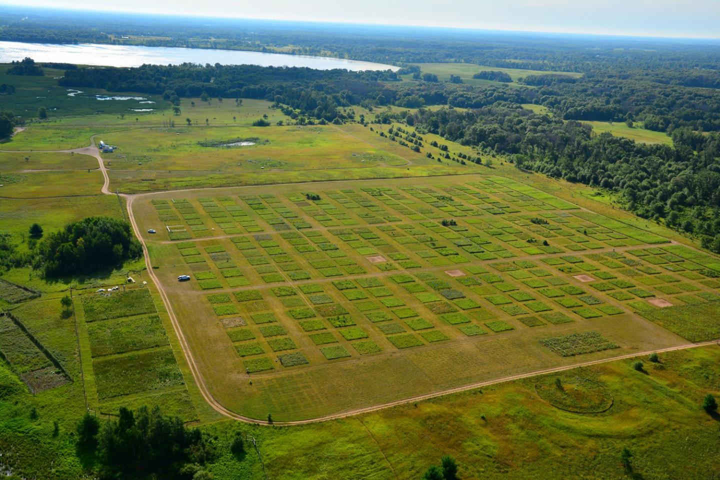 Money Talks and It's Telling us to Protect Biodiversity in Grasslands (6 of 6)