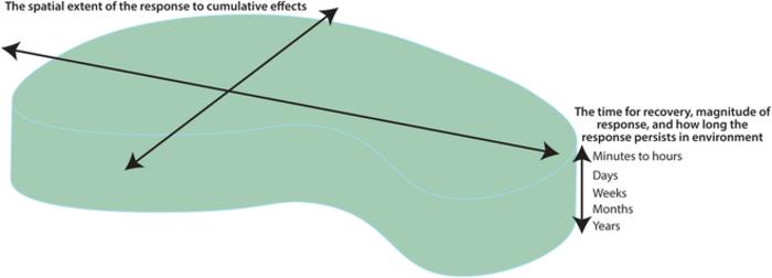 Conceptual footprint of the ecosystem’s response to multiple stressors