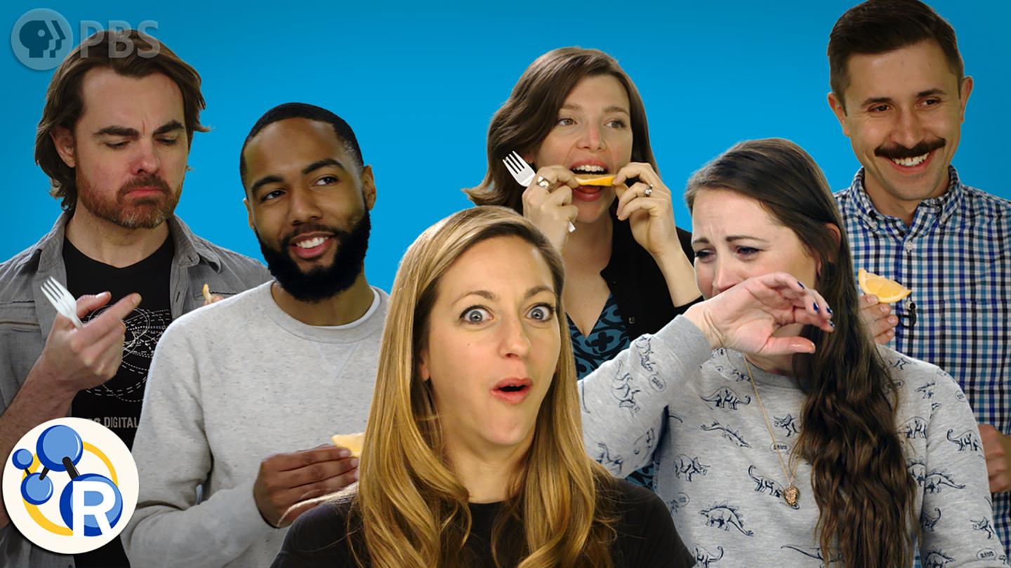 What Happens when Your Favorite PBS Hosts Eat Miracle Berries? (Video)