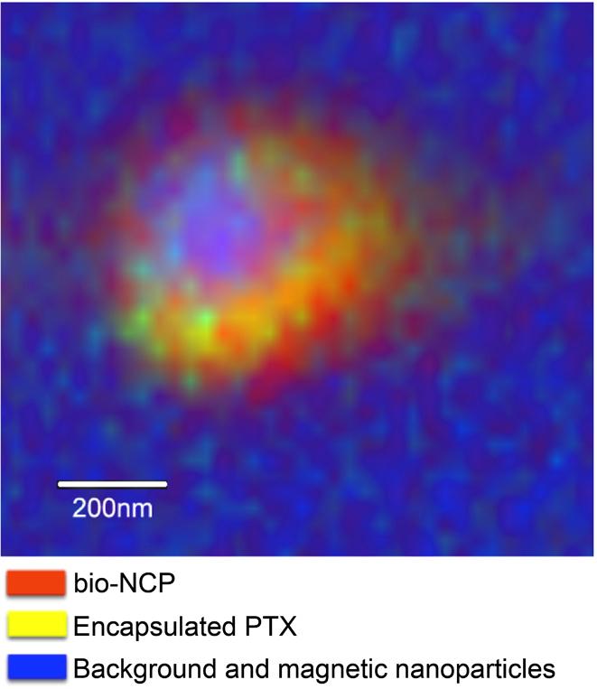 Nanoparticle with Cytotoxin