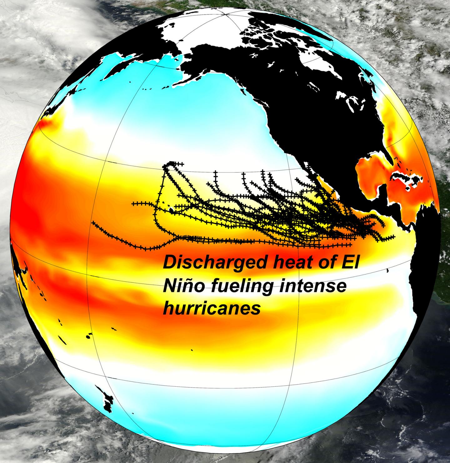 Northeastern Pacific Hurricane Tracks