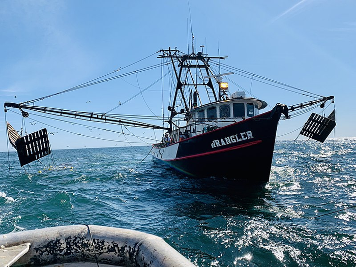 Shrimp trawler vessel