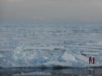 North Pole Soon to Be Ice Free in Summer