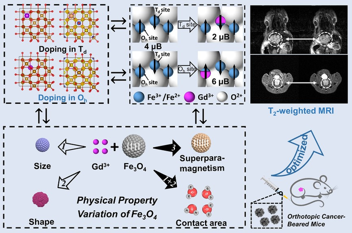 GdxFe3-xO4 Nanoclusters Help Imaging of Early Orthotopic Cancer