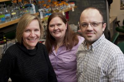 Janet Braam, Danielle Goodspeed and Wassim Chehab, Rice University