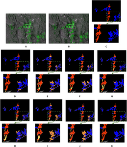 Fig. 4. Examples of semantic segmentation results of restored images by the state-of-the-art methods and the proposed WRA-Net.