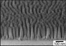 Nanocone-Textured Glass Surface Microscope Image