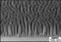 Nanocone-Textured Glass Surface Microscope Image