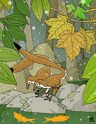 Hesperonychus Elizabethae