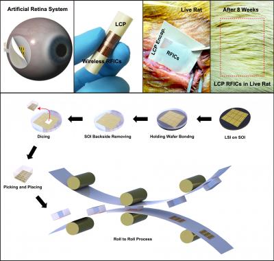 Applications of in Vivo Flexible Large Scale Integrated Circuits
