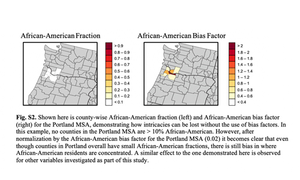 Portland MSA bias factor