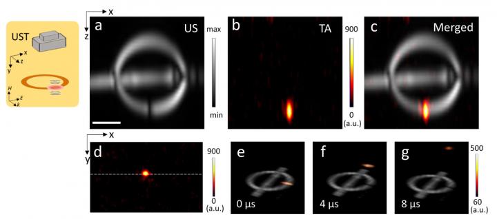 Thermoacoustic Imaging of Ultrasound Wave Generation from the Split Ring Resonator