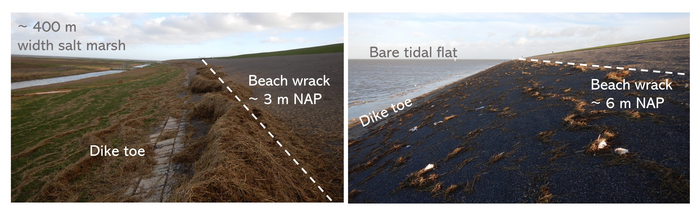 Run-up of waves on dikes in areas with or without salt marshes.