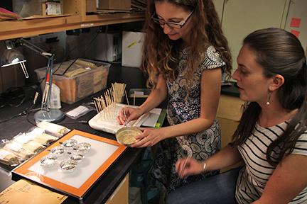 Seed Selection for Great Basin Rangeland Restoration