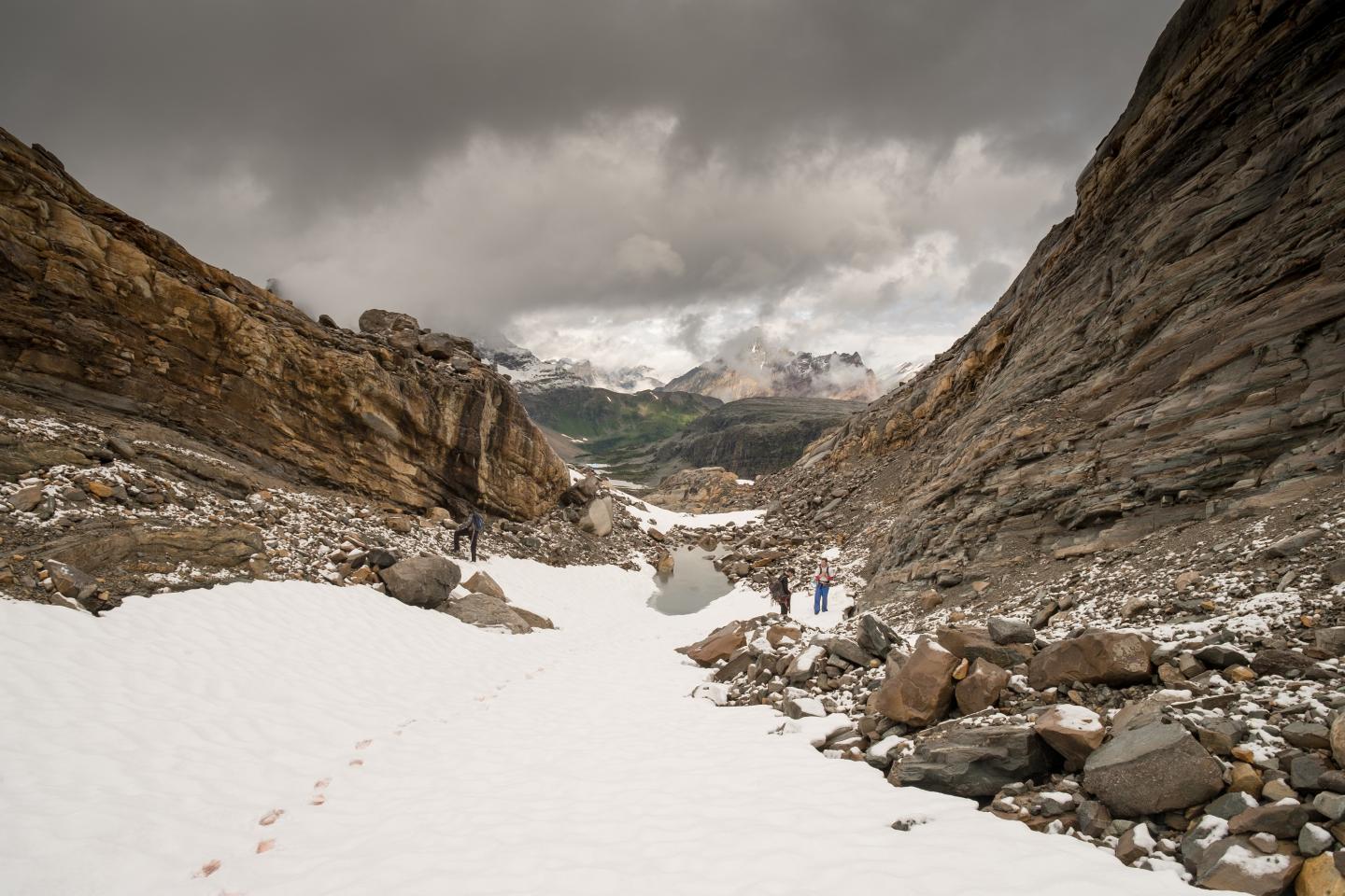 Princeton Researchers Gather F [IMAGE] EurekAlert! Science News Releases