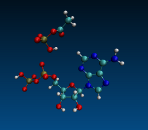 Ancient chemistry may explain why living things use ATP as the universal energy currency