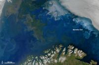 Phytoplankton Blooms in the Barents Sea
