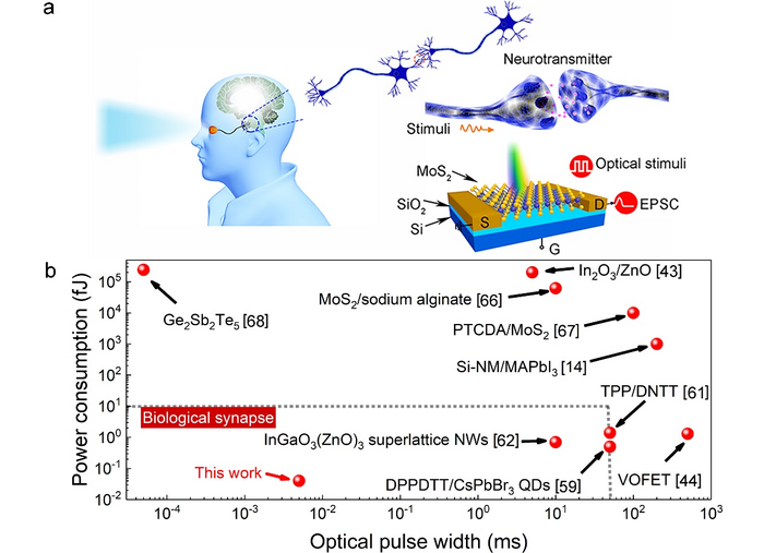 Human brain stimulated by artificial synaptic device