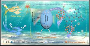 Schematic illustration for the mechanism of photochromic enhanced hydrogen production process over HC-C₃N₅ nanosheets