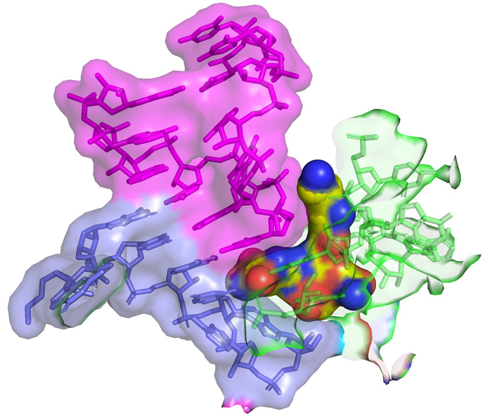 Neglected 80-year-old antibiotic is effective against multi-drug resistant bacteria