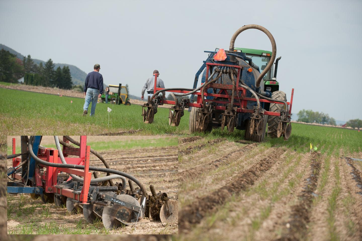 Spreading Manure