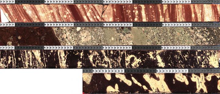 Triassic cores