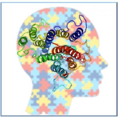 The Puzzle of Autism