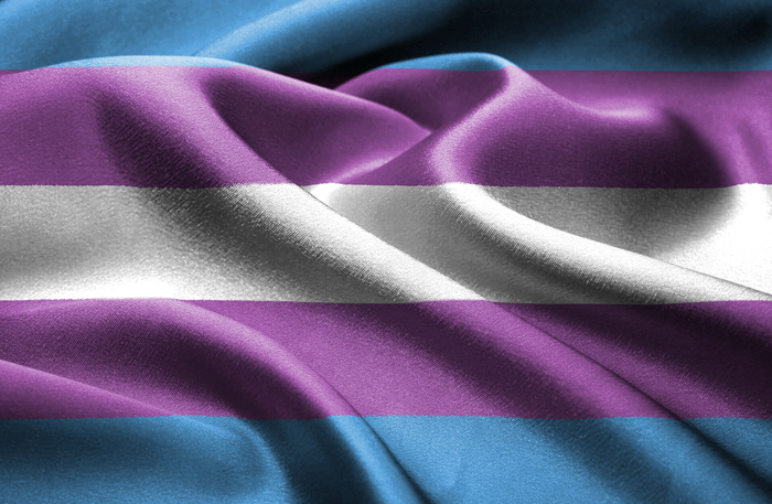 Transgender pride flag.