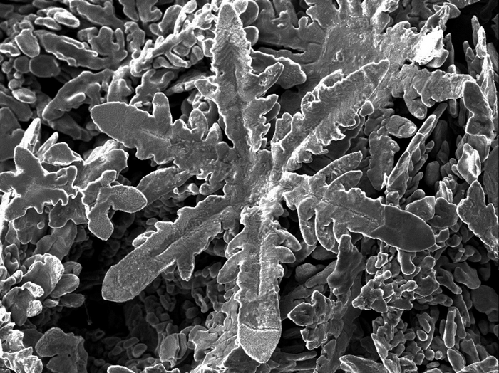 Nano-scale snowflake from Gallium solvent