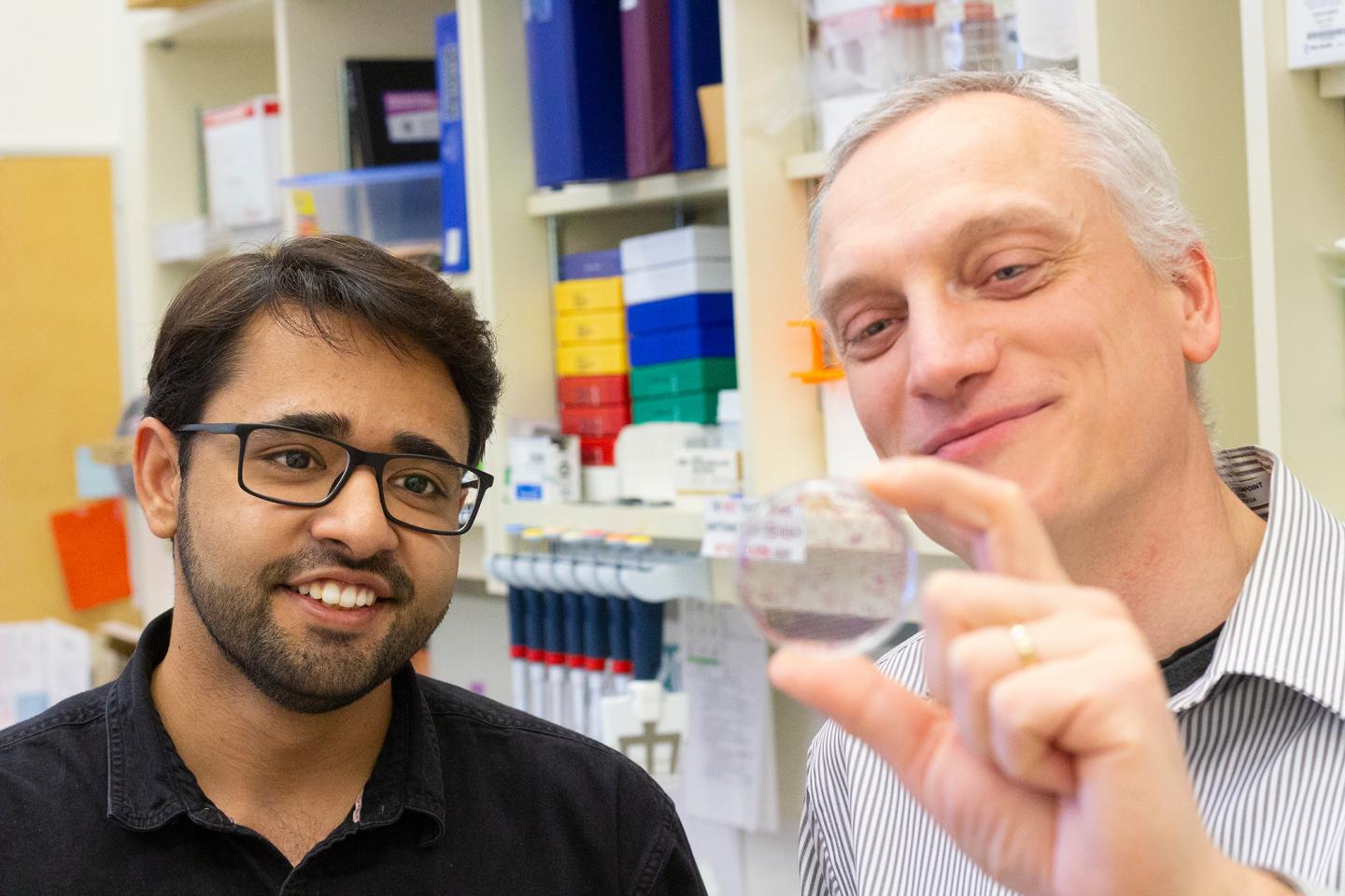 Researchers Target Metastasis In Fight Against Cancer