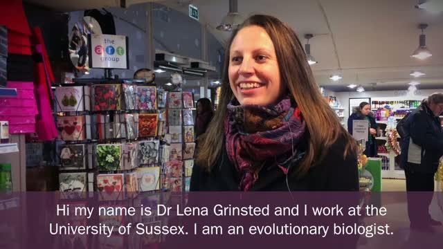 Dr. Lena Grinsted, University of Sussex 