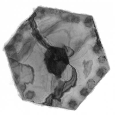 Quick-Cooking Nanomaterials to Make Tomorrow's Refrigerators (2 of 3)