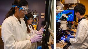 Keio students at the pi-Conjugated Polymers Unit and the Computational Neuroethology Unit