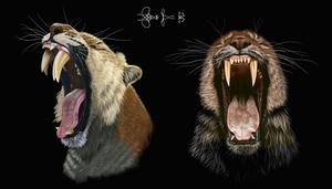 Portraits of saber-toothed cats with double fangs